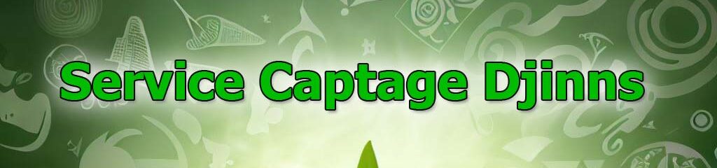 service-captage-djinn